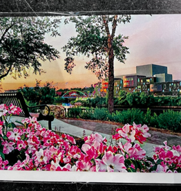 Maureen McRaith Greeting Card - Downtown River with Pink Flowers