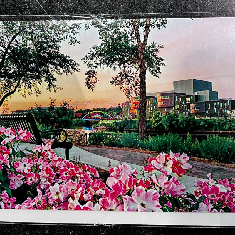 Maureen McRaith Greeting Card - Downtown River with Pink Flowers