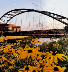 Maureen McRaith Greeting Card - Rainbow Bridge with Yellow Flowers