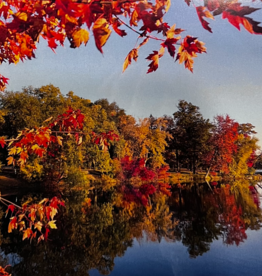 Maureen McRaith Greeting Card - Half Moon - Fall