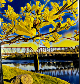 Maureen McRaith Greeting Card - Yellow Magnolias - Filter