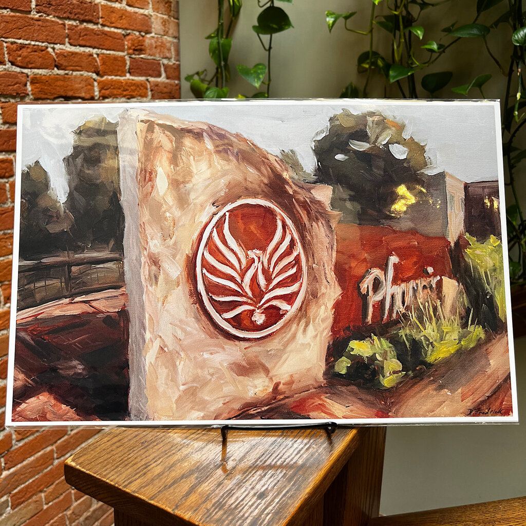 D Fredrick Creations LLC 11x17 Print - Phoenix Park