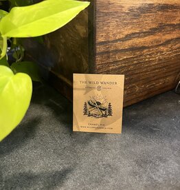 The Wild Wander (Faire) Enamel Pin - Canoe