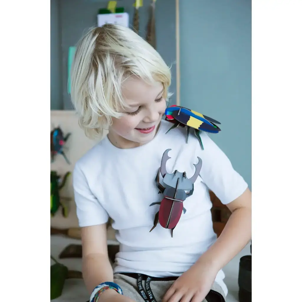Studio Roof Wall Decoration - Stag Beetle