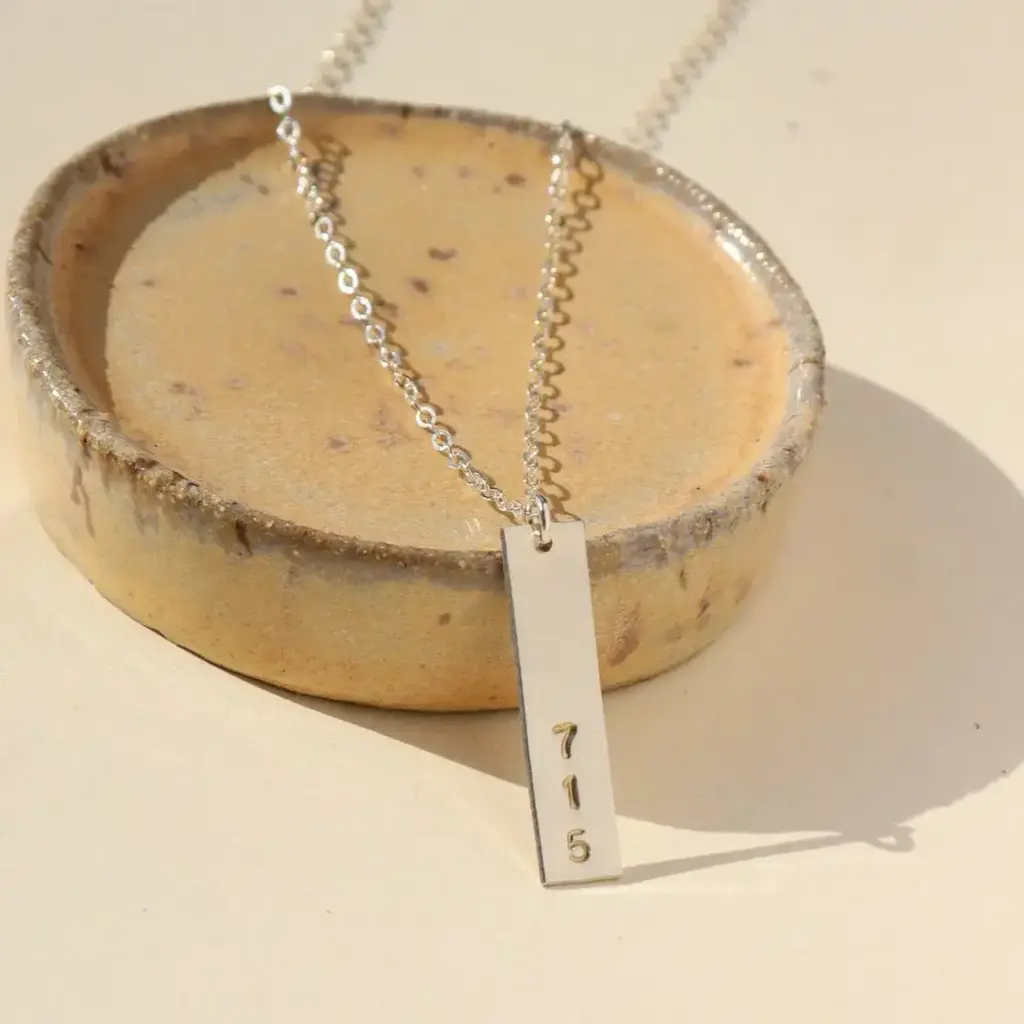 Token (Faire) Token Jewelry - Area Code Necklace - 18", Sterling Silver