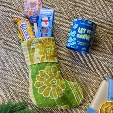 Holiday Complimentary Colors Grow Kit - Rockin' Around Norway Spruce