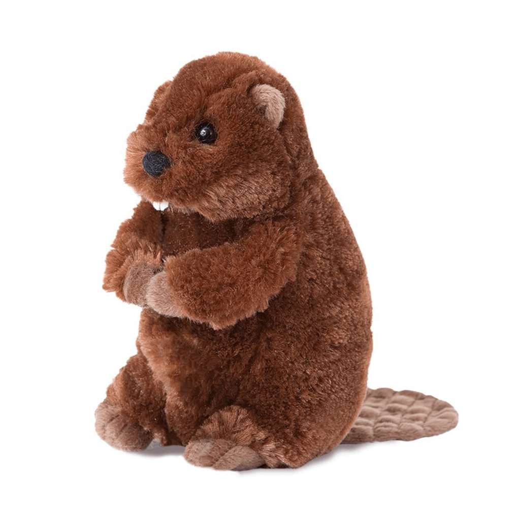 Douglas Buddy Beaver
