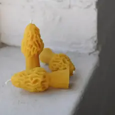 Morel Small - Pure Beeswax Candle