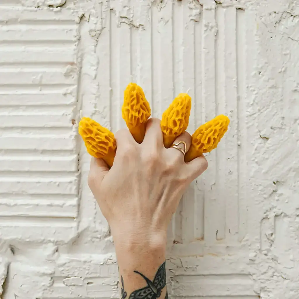 Morel Small - Pure Beeswax Candle