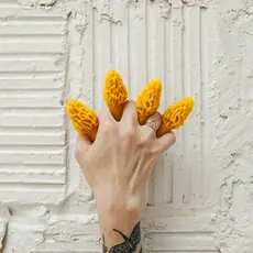 Morel - Pure Beeswax Candle