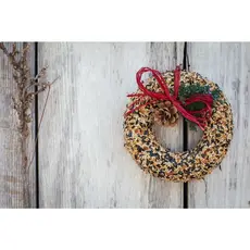 Birdseed Wildfeast Wreath