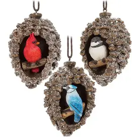 Abbott Bird in Pinecone Ornament - Assorted