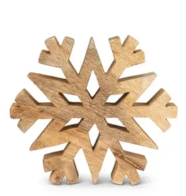 Abbott Thick Cutout Snowflake