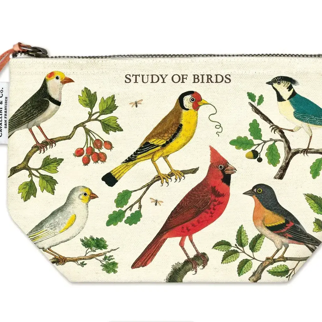 Birds  Pouch
