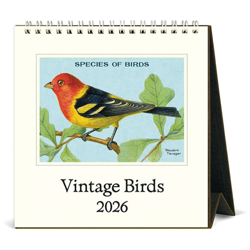 Cavallini Birds Desk Calendar