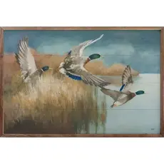 Kendrick Home Wild Wings 8x5