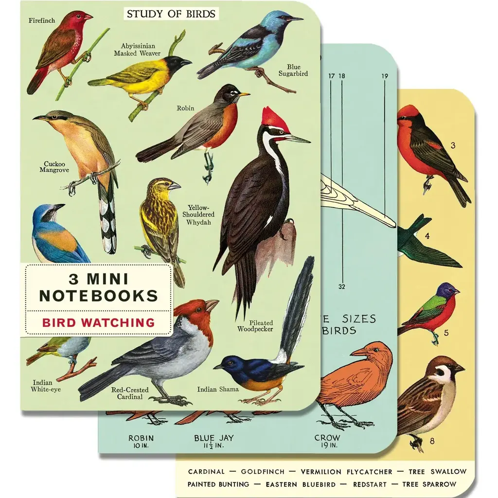 Cavallini Bird Watching Mini Notebooks