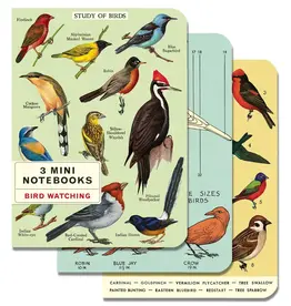 Cavallini Bird Watching Mini Notebooks
