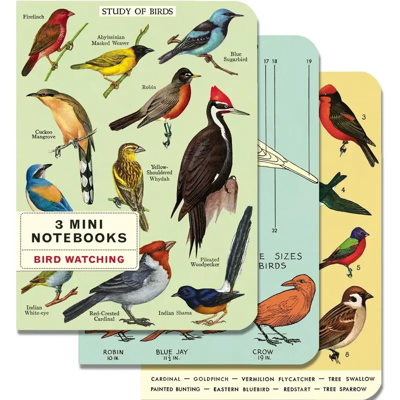 Cavallini Bird Watching Mini Notebooks