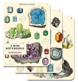 Cavallini Mineralogy Mini Notebooks