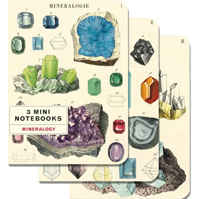 Cavallini Mineralogy Mini Notebooks