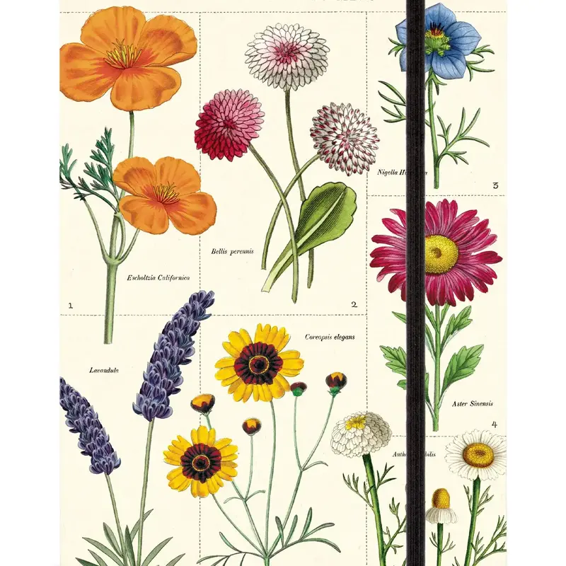 Cavallini Wildflowers Large Notebook