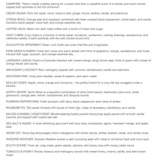 Woodfire Candle Company Amber Apothecary Wood Wick Soy Candle