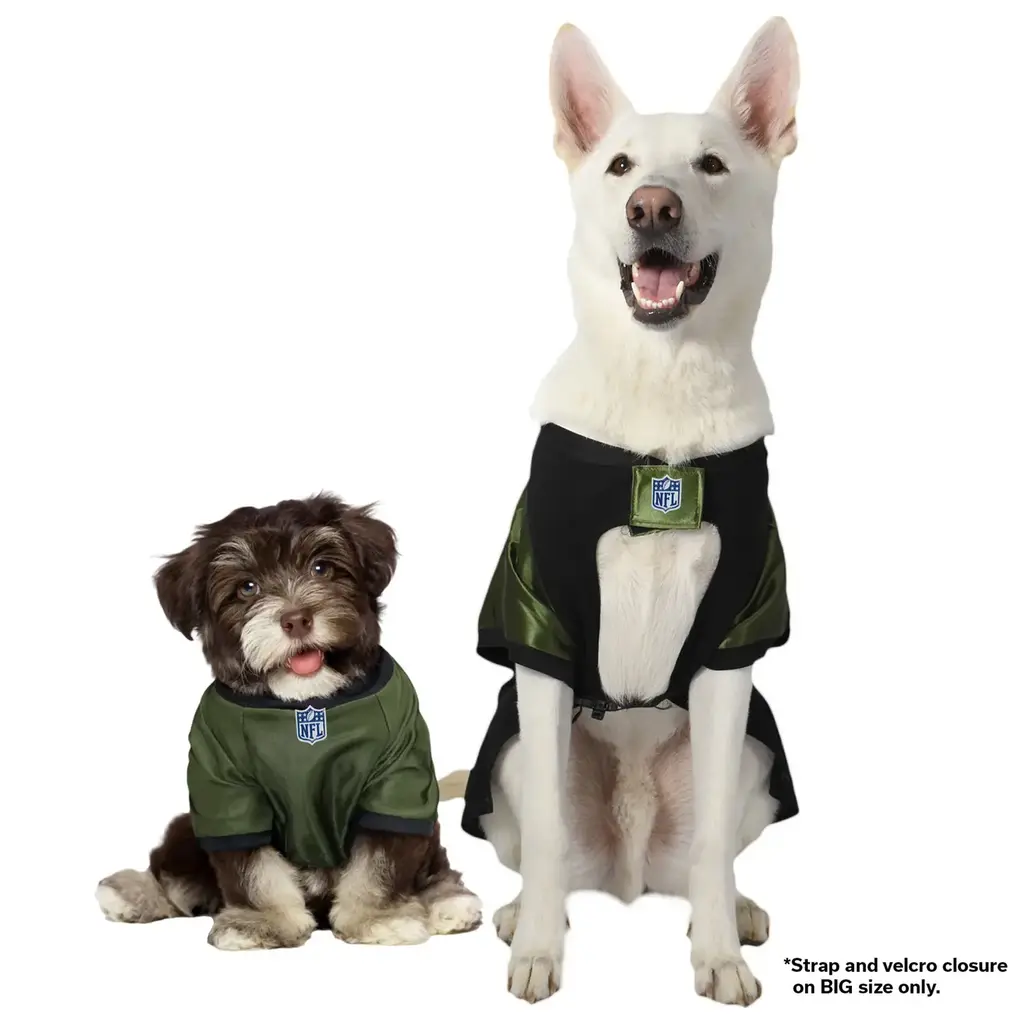 Little Earth Productions Pet Jersey - Medium Green Bay Packers Valor Pet Stretch