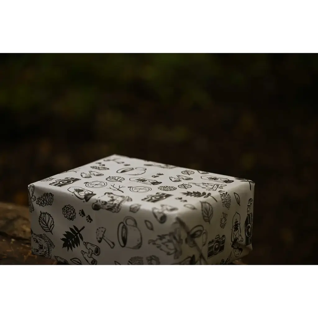 Little Rock Designs Gift Wrap - Explore Black and White