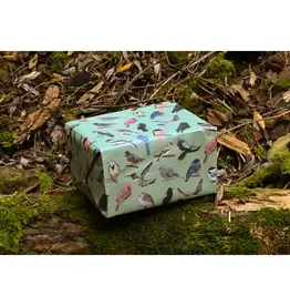 Little Rock Designs Gift Wrap - Midwest Birds