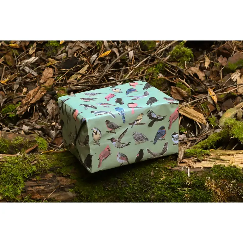 Little Rock Designs Gift Wrap - Midwest Birds