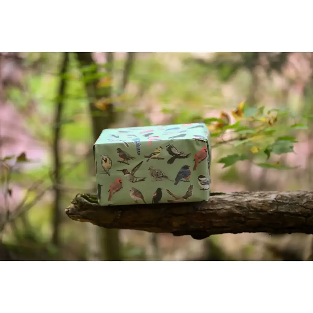 Little Rock Designs Gift Wrap - Midwest Birds