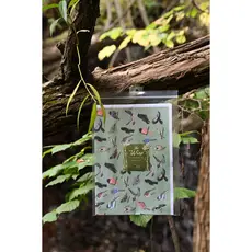 Little Rock Designs Gift Wrap - Midwest Birds