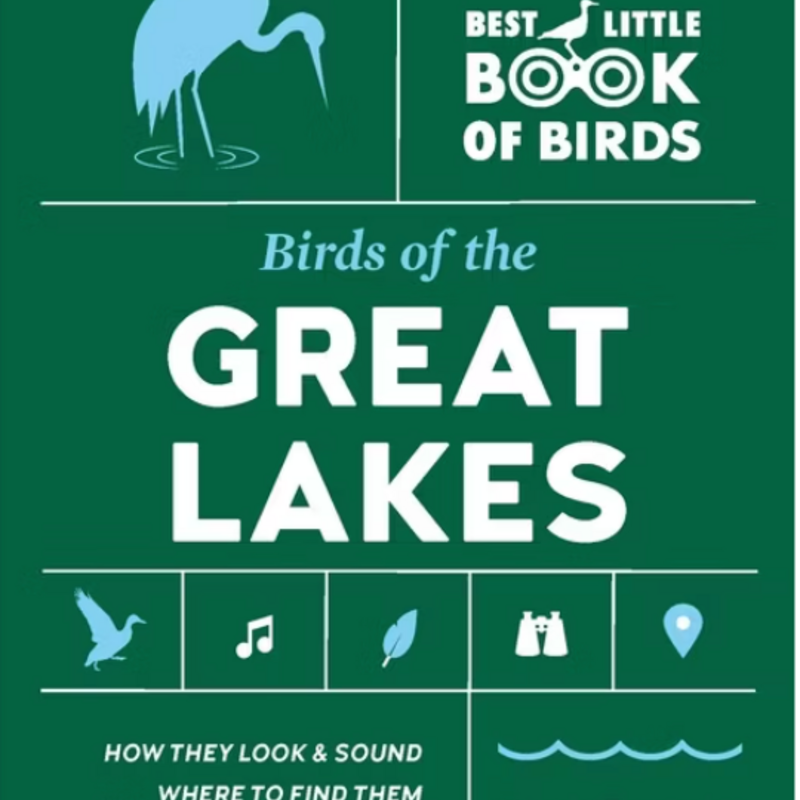 Dexter Patterson Birds of the Great Lakes