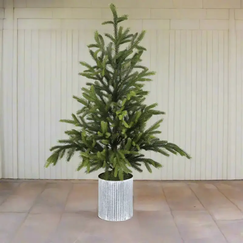 Will's Company Potted Norway Spruce Tree (Small)