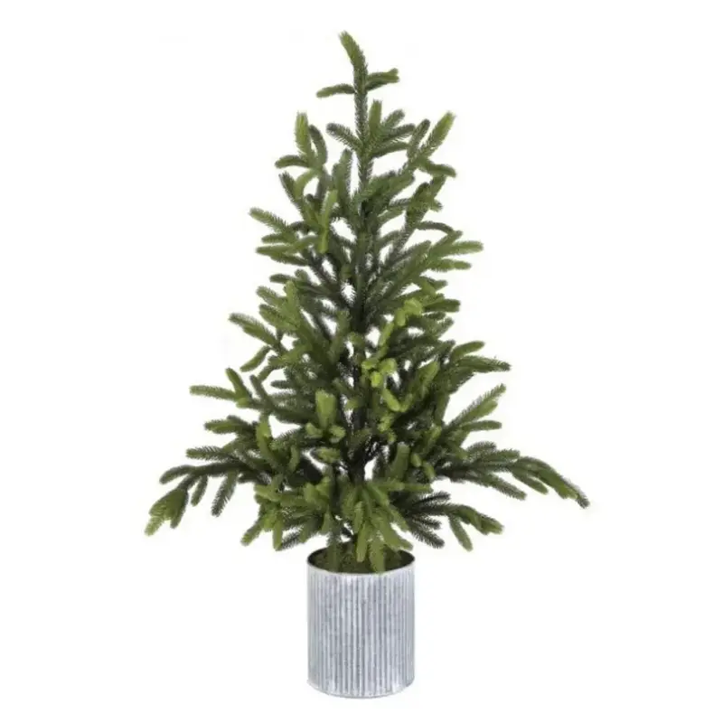 Will's Company Potted Norway Spruce Tree (Large)