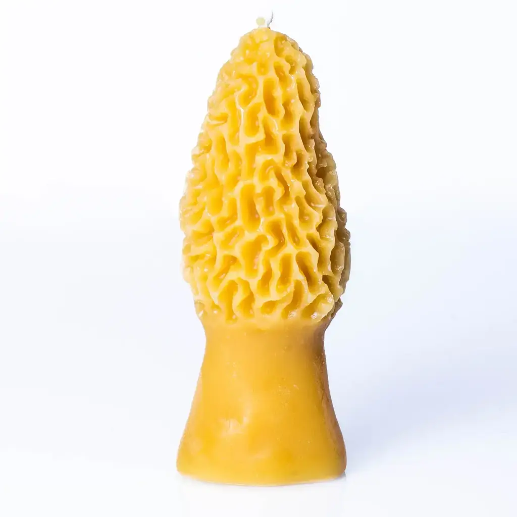 Morel Mushroom Candle - 100% Beeswax - Handmade