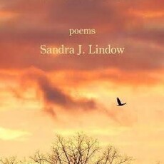 Sandra Lindow Chasing Wild Grief