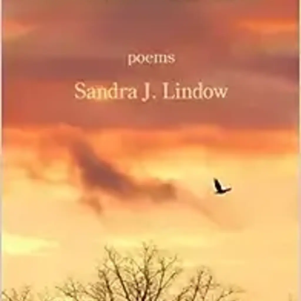 Sandra Lindow Chasing Wild Grief