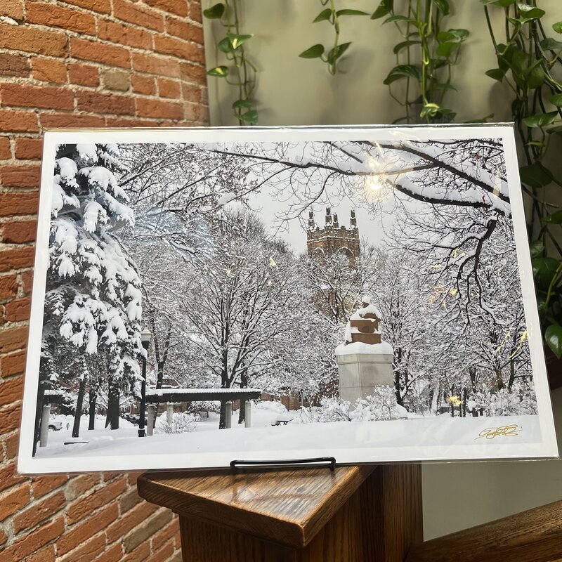 Lloyd Fleig 12x18 - Randall Park in Winter
