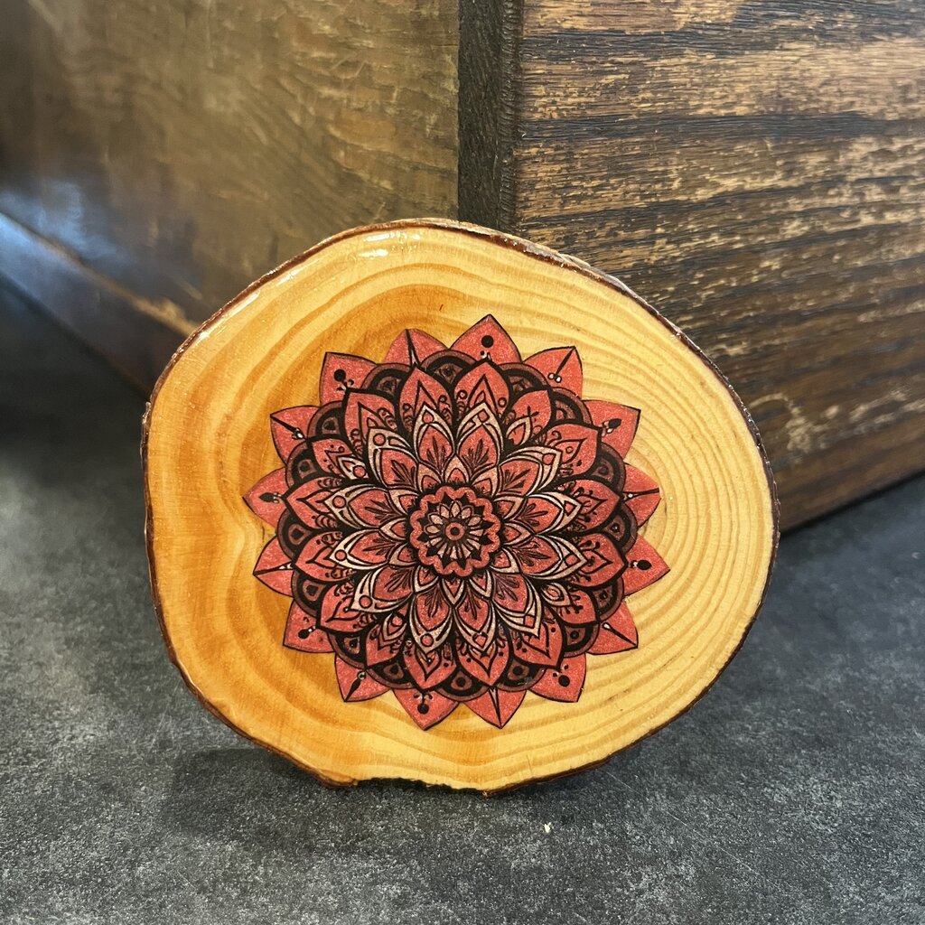 Coaster - D Artist In U