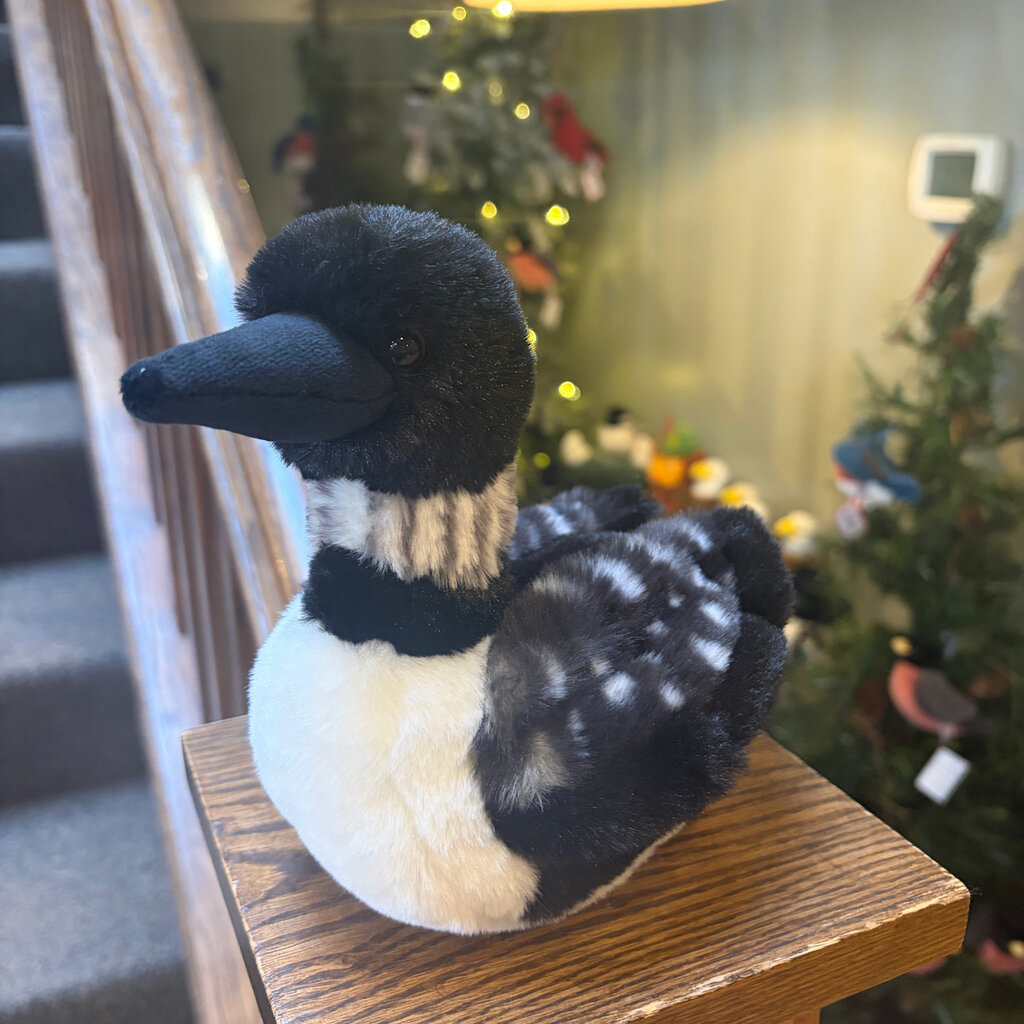 Douglas Loonie Loon Plush - Mini Soft