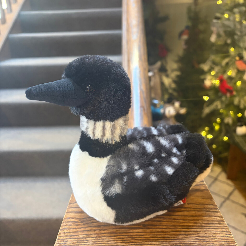 Douglas Loonie Loon Plush - Mini Soft