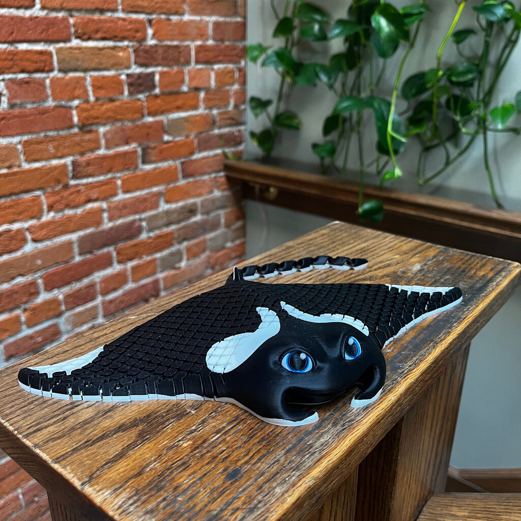 Dave West 3D Printed Stingray