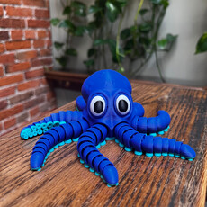 Dave West 3D Printed Octopus