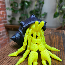 Dave West 3D Printed Hermit Crab