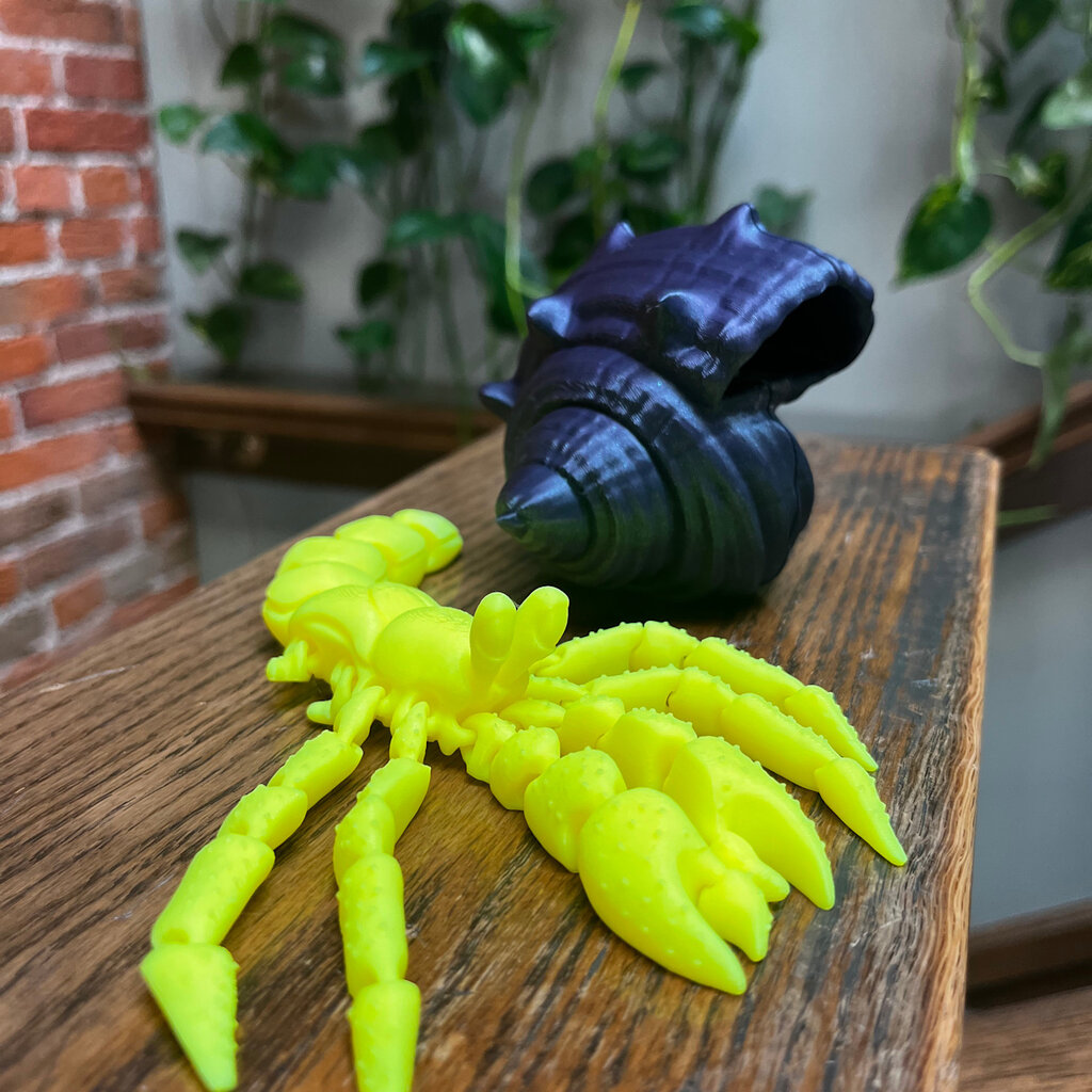 Dave West 3D Printed Hermit Crab