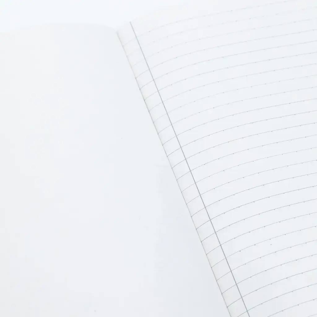 Cognitive Surplus Softcover Notebook Large: Layers of Geologic History