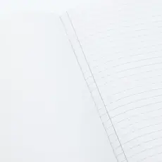 Cognitive Surplus Softcover Notebook Large: Layers of Geologic History