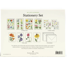 Cavallini Wildflowers Stationery Set